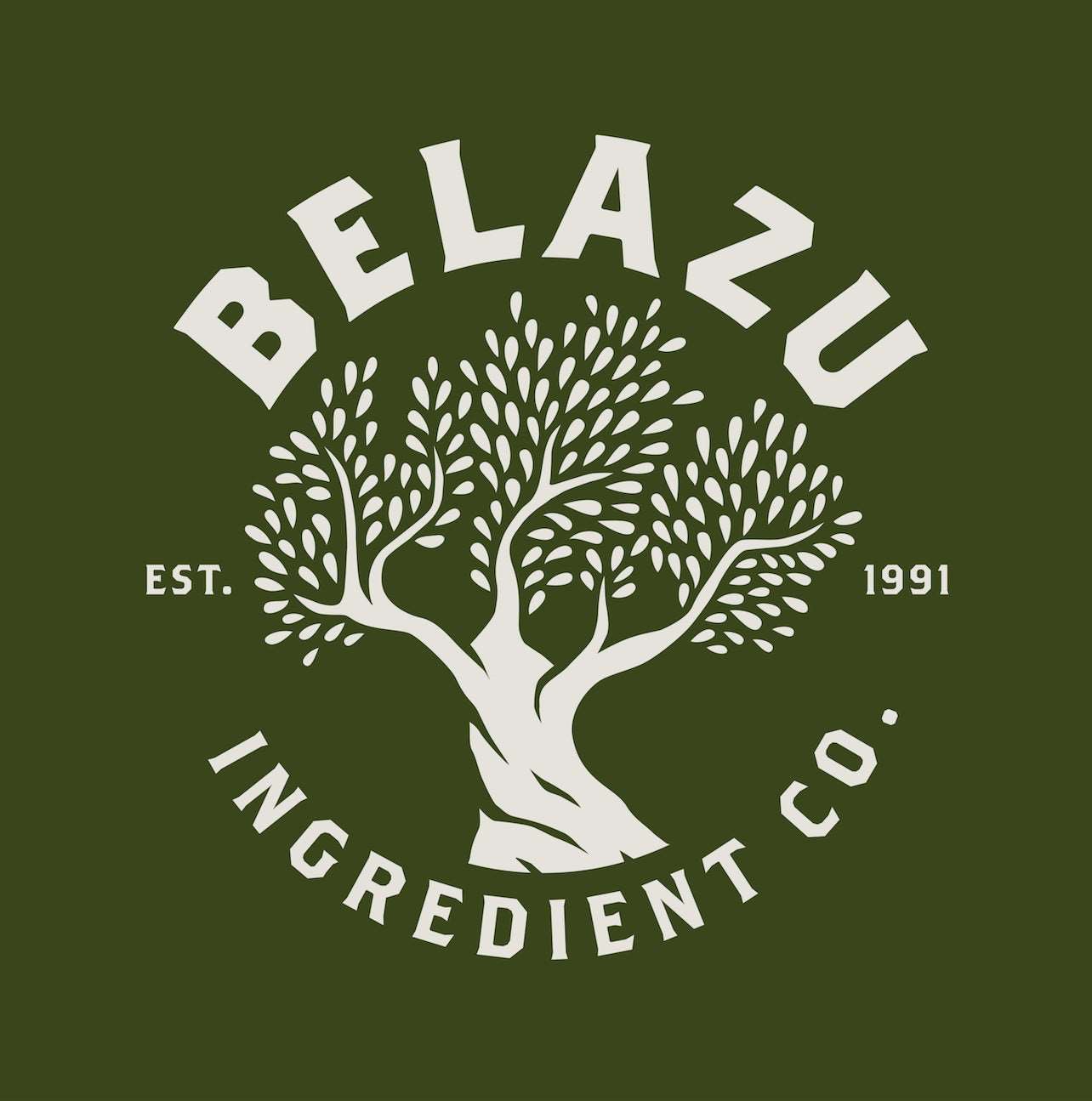 Belazu Pitted Spanish Bar Mix Olives 4.5kg
