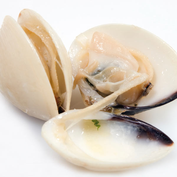 Whole Shell on Clams 60/80 1kg