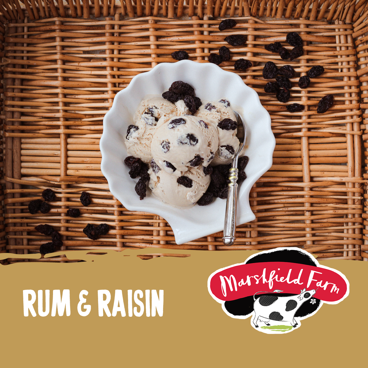 Marshfield Rum & Raisin Ice Cream 5ltr