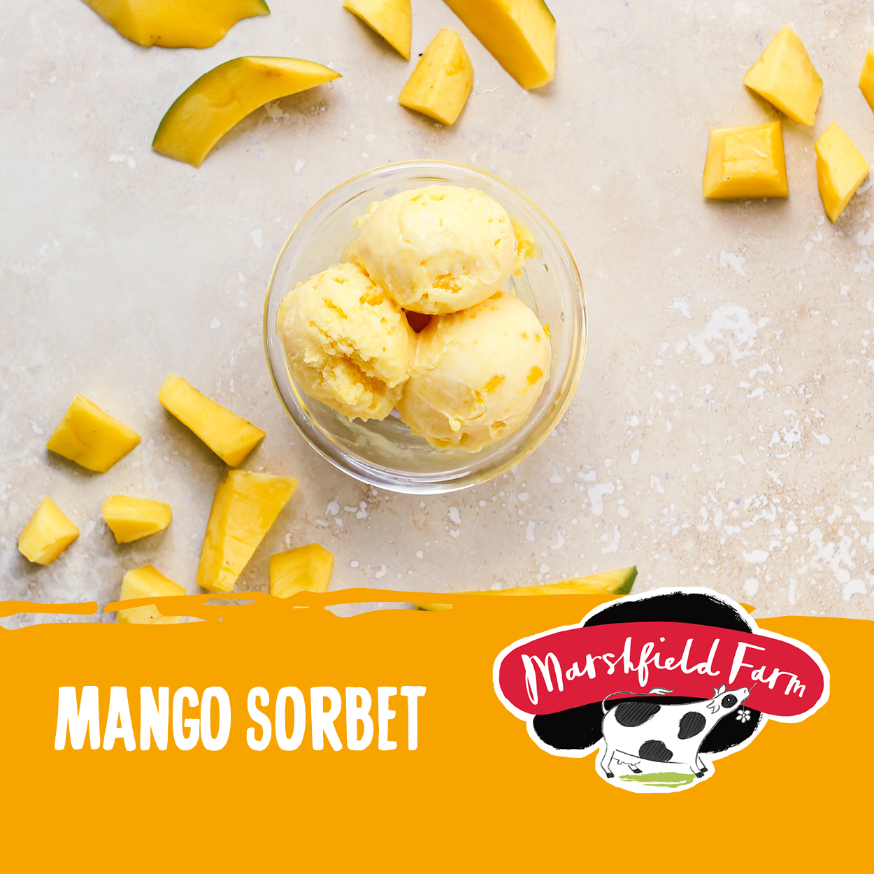 Marshfield Mango Sorbet 2.4ltr