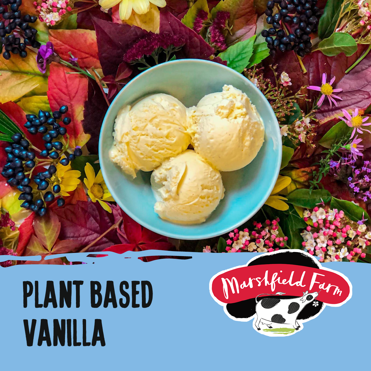 Marshfield Plant Based Vanilla Ice Cream 2.4ltr