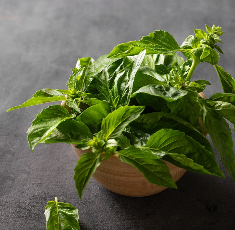 Fresh Basil 100gm - TO ORDER ONLY