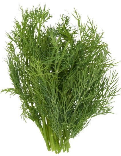 Fresh Dill 100gm - TO ORDER ONLY
