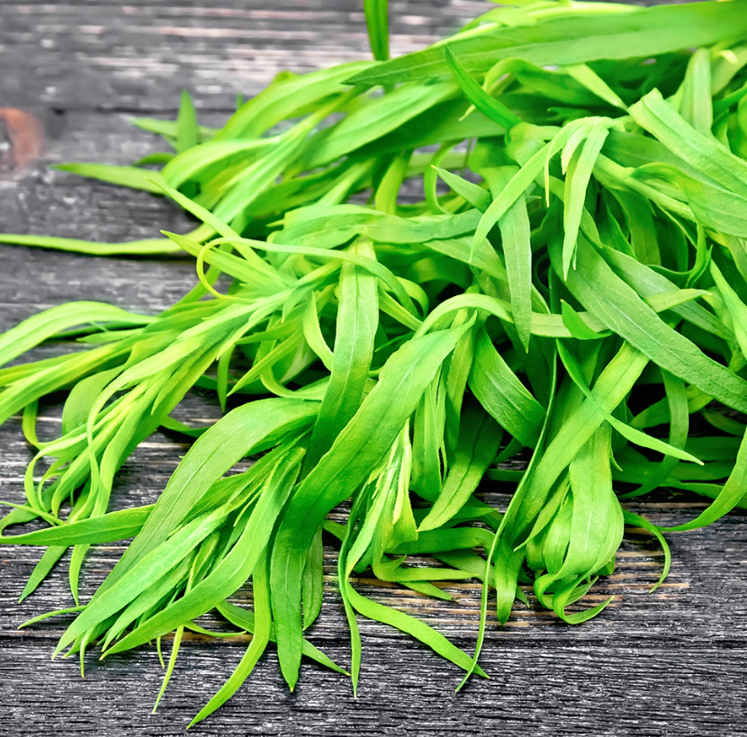 Fresh Tarragon 100gm - TO ORDER ONLY
