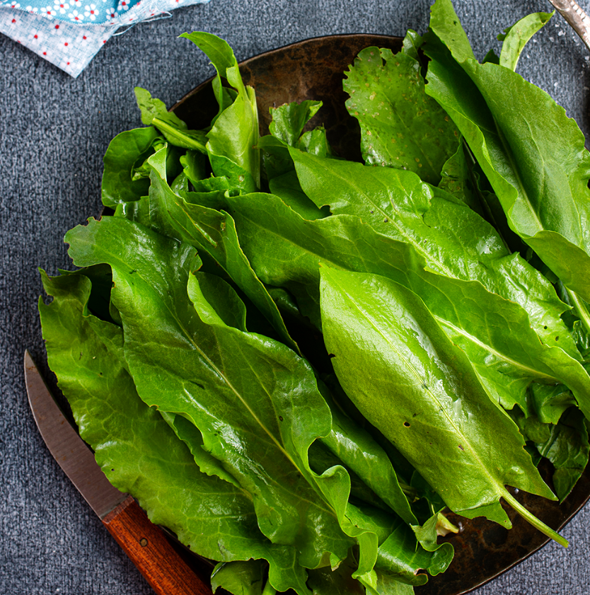 Fresh Sorrel 100gm - TO ORDER ONLY
