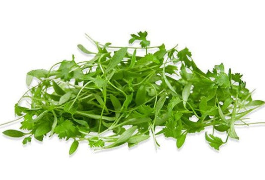 Fresh Micro Coriander 30gm - TO ORDER ONLY