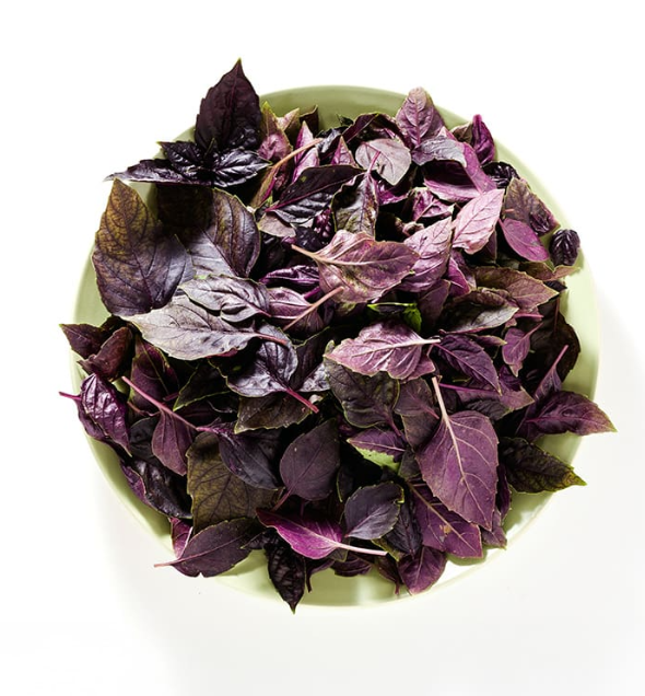 Fresh Micro Red Basil - TO ORDER ONLY
