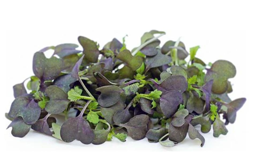 Fresh Micro Red Mustard 30gm - TO ORDER ONLY