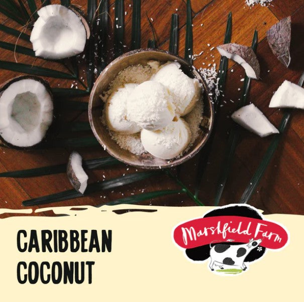 Marshfield Creamy Coconut Ice Cream 4.5ltr