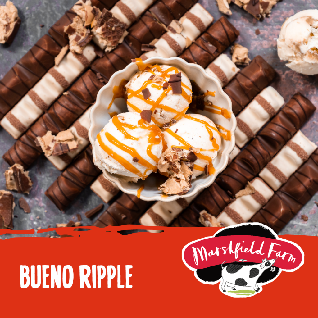 Marshfield Bueno Ripple Ice Cream 5ltr