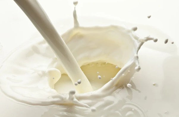 Payne's Fresh Semi Skimmed Milk 1ltr