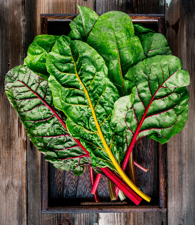 Fresh Mixed Rainbow Chard 1kg - TO ORDER ONLY