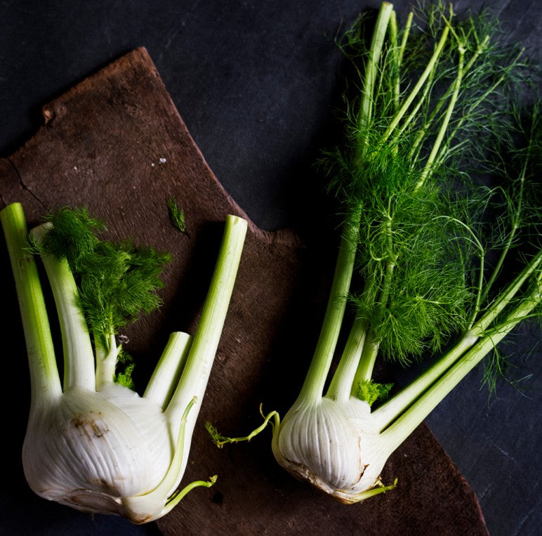 Fresh Fennel 1kg - TO ORDER ONLY