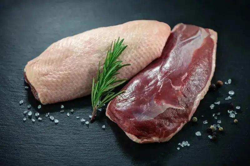 Duck