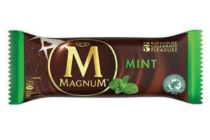 Walls Magnum Mint (CASE) 20 x 100ml - TO ORDER ONLY