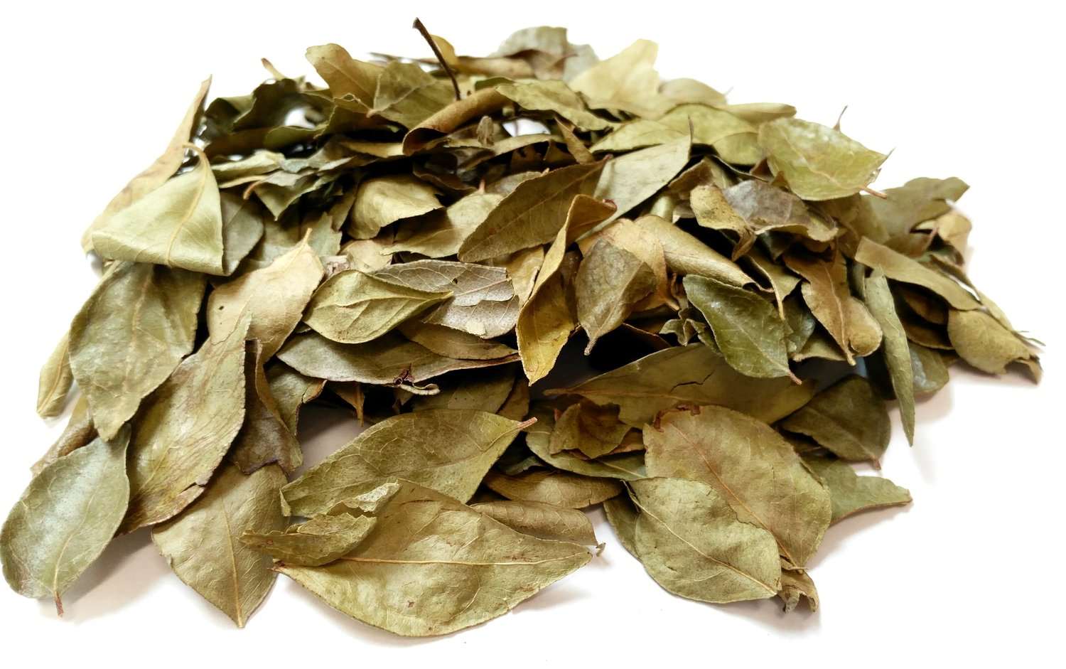 Centaur Curry Leaves 50gm