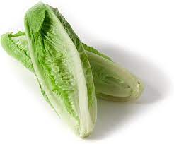 Romaine Heart Lettuce 1 x 2 - TO ORDER ONLY
