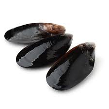 Frozen Whole Mussels (Shell on) 1kg