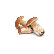 Whole Frozen Porcini / Ceps 1kg
