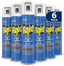 Raid Fly & Wasp Spray 6 x 300ml
