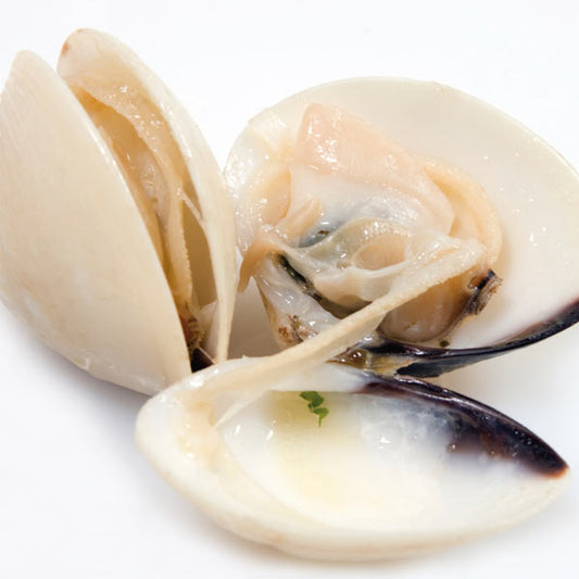 Whole Shell on Clams 60/80 1kg