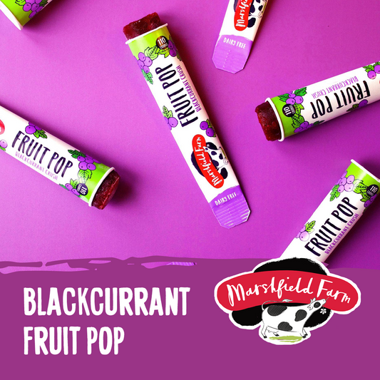 Marshfield Blackcurrant Fruit Pop 24 x 110ml