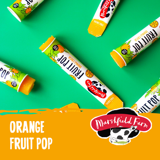 Marshfield Orange Fruit Pop 24 x 110ml