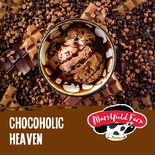 Marshfield Chocoholic Heaven Ice Cream 5ltr