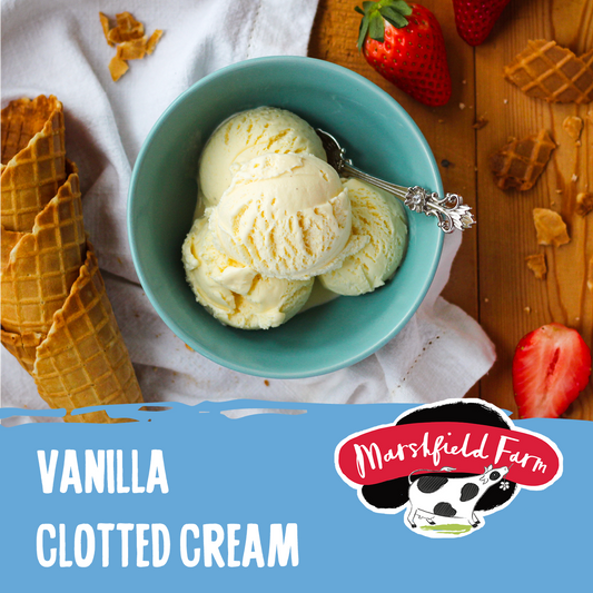 Marshfield Vanilla Clotted Cream Ice Cream 5ltr