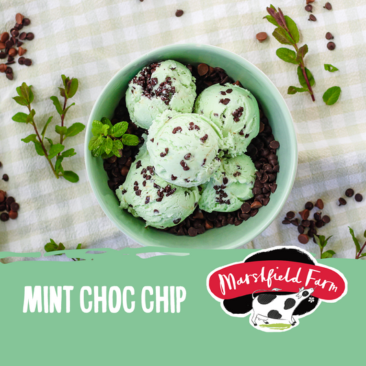 Marshfield Mint Choc Chip Ice Cream 5ltr