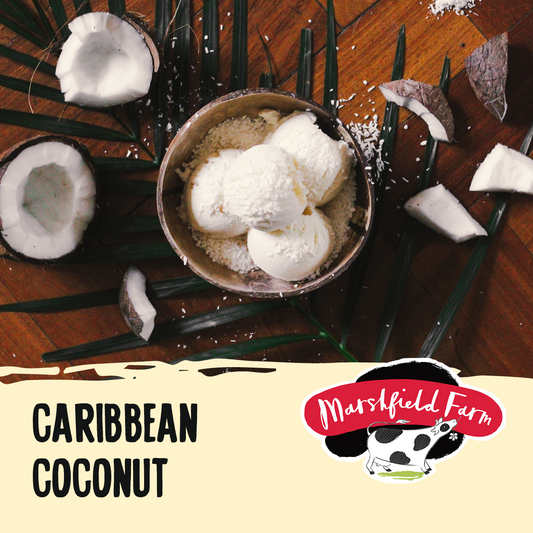 Marshfield Creamy Coconut Ice Cream 5ltr