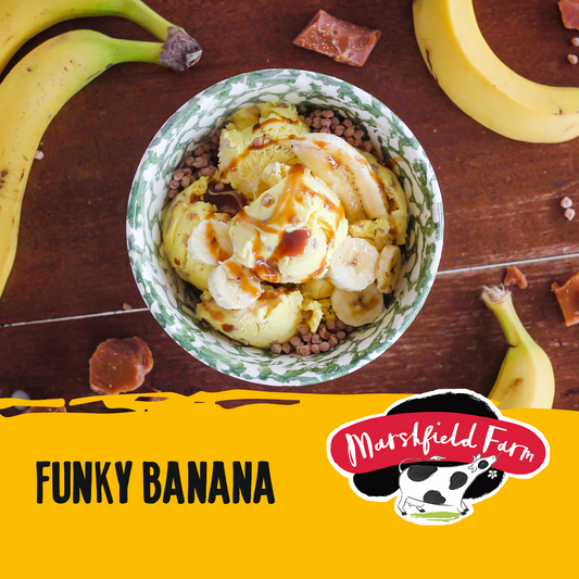 Marshfield Funky Banana Ice Cream 5ltr