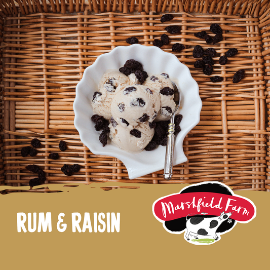 Marshfield Rum & Raisin Ice Cream 5ltr