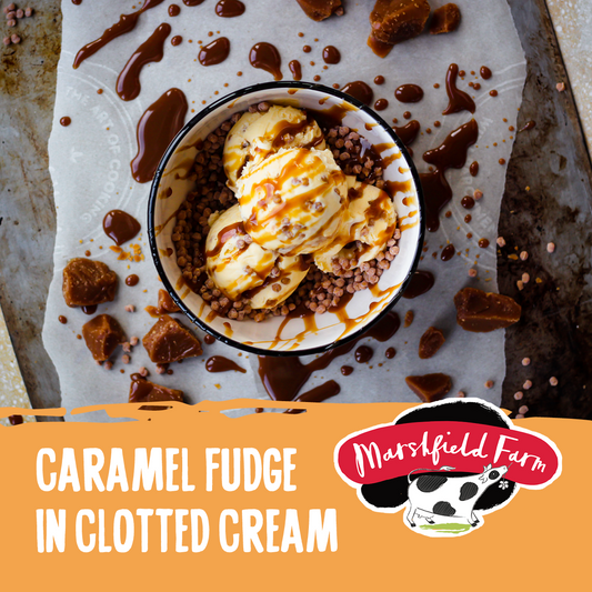 Marshfield Caramel Fudge in Clotted Cream Ice cream 5ltr