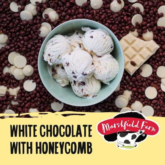 Marshfield White Chocolate & Honeycomb Ice Cream 5ltr