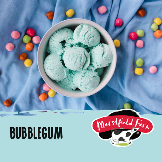 Marshfield Bubblegum Ice Cream 5ltr