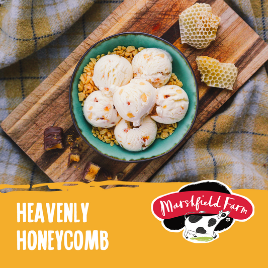Marshfield Heavenly Honeycomb Ice Cream 5ltr
