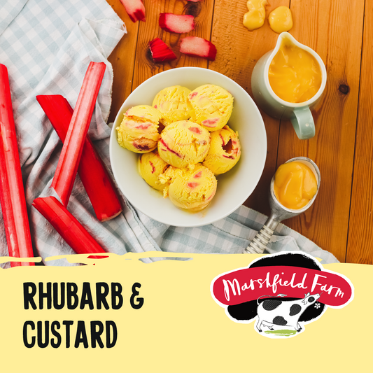 Marshfield Rhubarb & Custard Ice Cream 5ltr