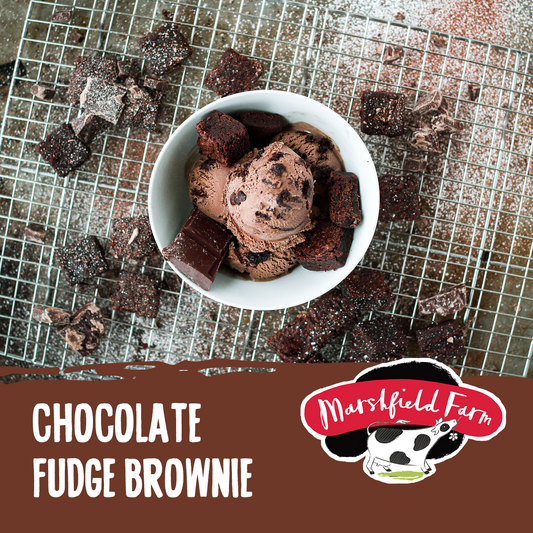 Marshfield Chocolate Fudge Brownie Ice Cream 5ltr