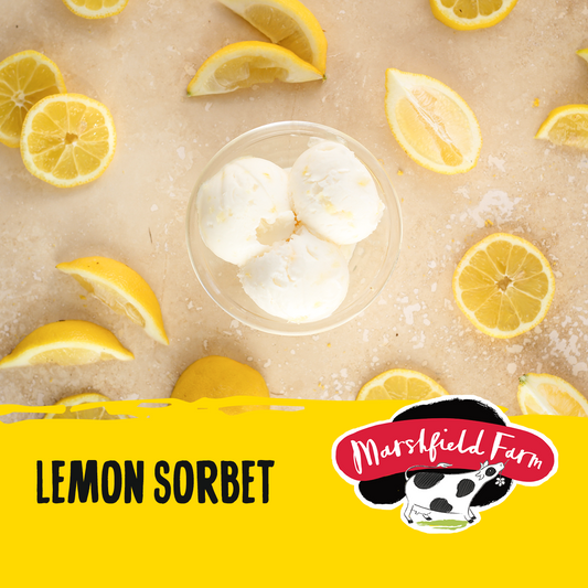 Marshfield Lemon Sorbet 2.4ltr