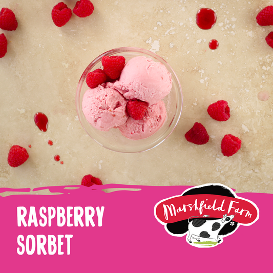 Marshfield Raspberry Sorbet 2.4ltr