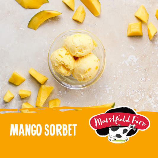 Marshfield Mango Sorbet 2.4ltr