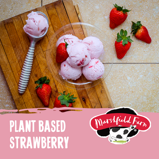 Marshfield Plant Based Strawberry Ice Cream 2.4ltr
