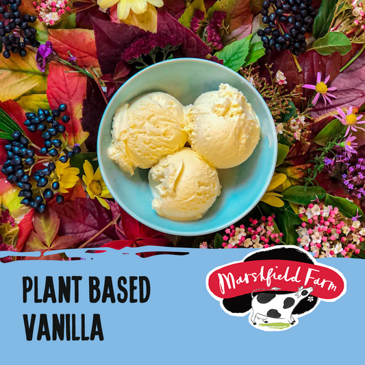 Marshfield Plant Based Vanilla Ice Cream 2.4ltr