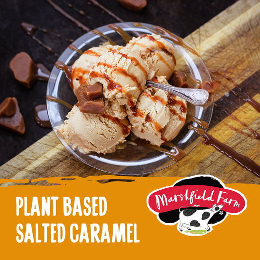 Marshfield Plant Based Salted Caramel Ice Cream 2.4ltr