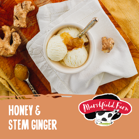 Marshfield Honey & Stem Ginger Ice Cream 5ltr