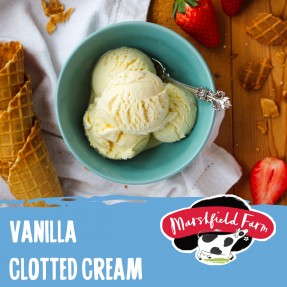 Marshfield Vanilla Clotted Cream Ice Cream 4ltr