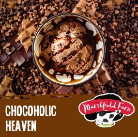Marshfield Chocoholic Heaven Ice Cream 4ltr