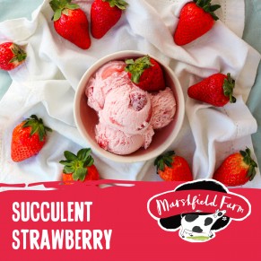 Marshfield Succulent Strawberry Ice Cream 4ltr