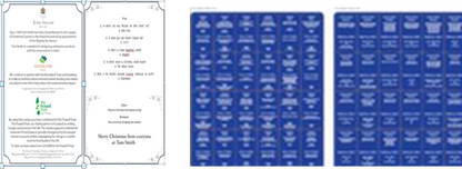 Luxury Cream & Gold Starburst Crackers 50 x 11inch